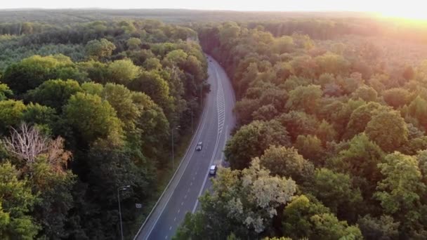 穿过森林的道路 日落时分 高速公路顶景 汽车沿着一条铺过森林的柏油路行驶 航空射击痕迹 — 图库视频影像