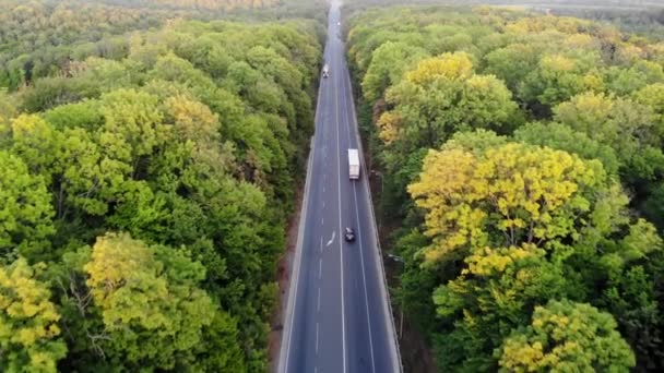Camino Través Del Bosque Vista Superior Autopista Atardecer Los Coches — Vídeo de stock