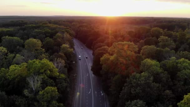 穿过森林的道路 日落时分 高速公路顶景 汽车沿着一条铺过森林的柏油路行驶 航空射击痕迹 — 图库视频影像