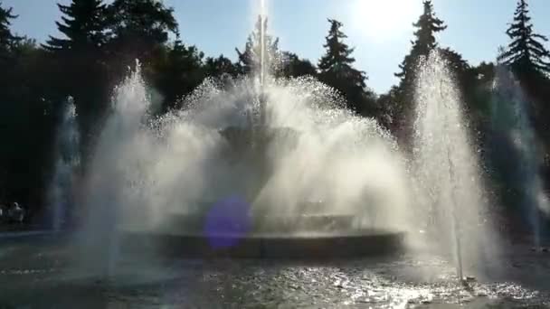 Городской фонтан в парке. Фонтан с ручьем воды освещается лучами солнца . — стоковое видео