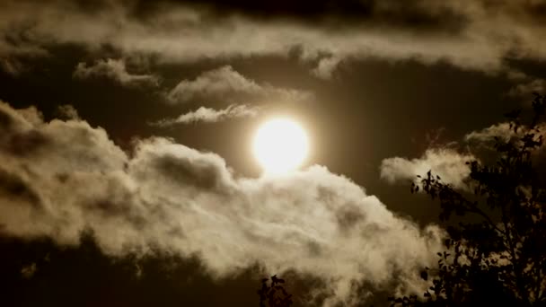 A fényes Hold mögé bújik a felhők. telihold. — Stock videók