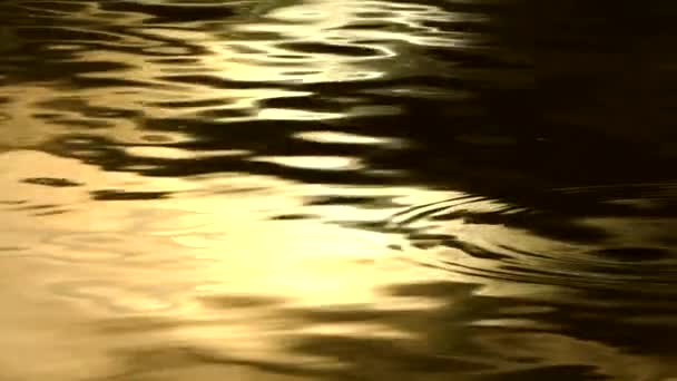波の質感について 多彩な水面 液体の質および背景 — ストック動画