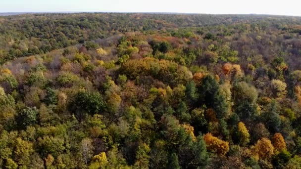 Wald Mit Schönen Bäumen Herbstwald Von Oben Gesehen Bunte Bäume — Stockvideo