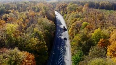 Arabalar yola koyulur. Ormanın içinden otoyol. Lojistik ve ulaşım. Sonbahar ormanlarında araba kullanmak. Lojistik ve ulaşım.