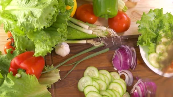 Les Mains Féminines Coupent Concombre Oignon Rouge Avec Couteau Cuisine — Video