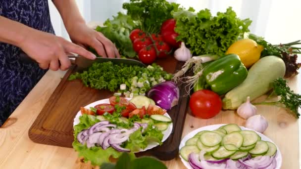 Las Manos Femeninas Cortan Cebolla Verde Con Cuchillo Cocina Una — Vídeos de Stock