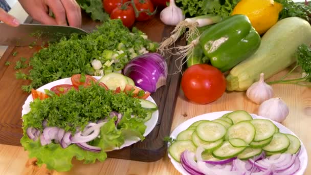 Mãos Femininas Cortam Verduras Com Uma Faca Cozinha Uma Tábua — Vídeo de Stock