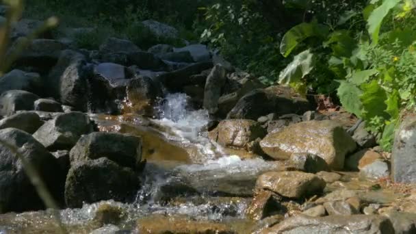 Mountain Creek. Voda teče mezi kameny. Vodopád a ekologicky čistá příroda. — Stock video