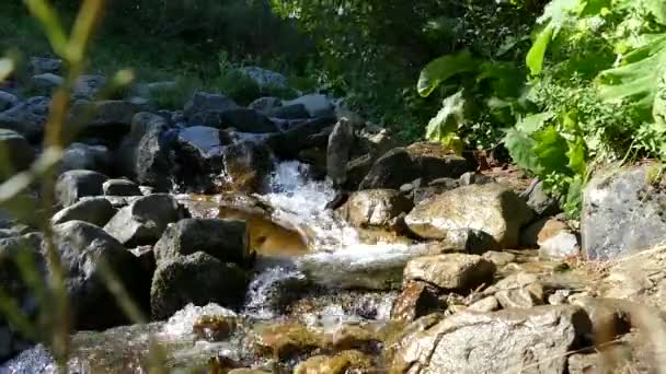 Bergsbäcken. Vatten rinner mellan stenarna. Vattenfall och ekologiskt ren natur. — Stockvideo