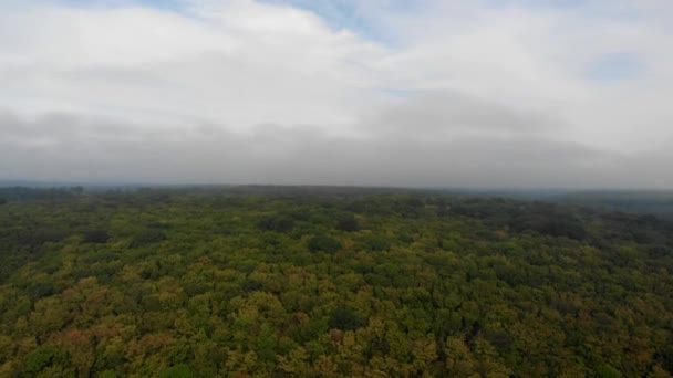 Floresta amazônica densa e úmida. As nuvens estão nas árvores. Vista de cima — Vídeo de Stock