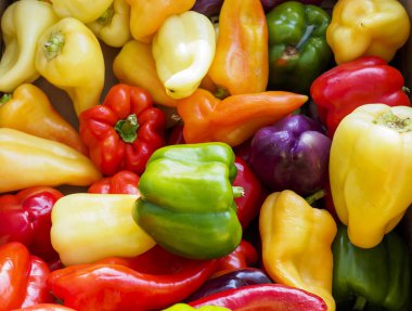 Renkli Biber, jalenpeno ve tatlı biber çeşitleri 