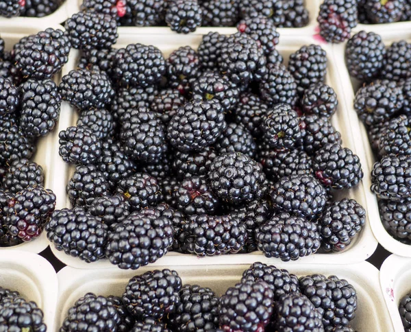 Fresh Fruit Basket Organic Blackberries Sale Farmers Market — Stock Photo, Image