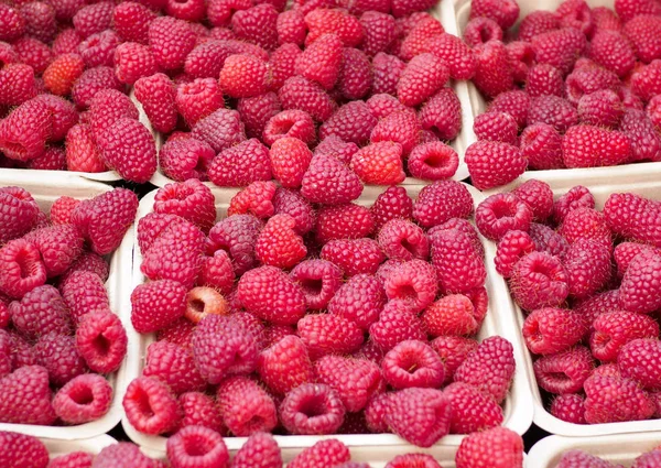 Baskets Fresh Ripe Raspberries Market — Stock Photo, Image
