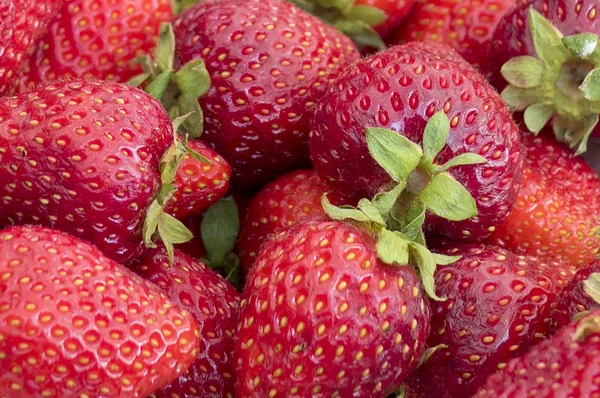 Nahaufnahme Von Frischen Roten Erdbeeren — Stockfoto