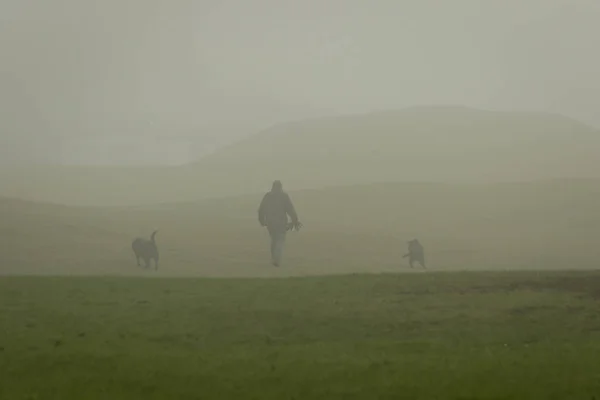 minimalistic image of a dogwalker with two dogs in a misty park