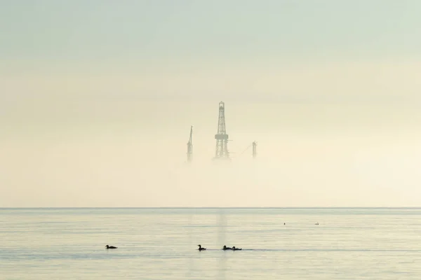Oil platform rig covered in mist with birds in the sea Firth of Forth Scotland