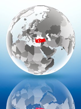 Bayrak parlak yüzeye yansıtan dünya üzerinde hindi. 3D çizim.