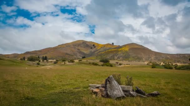 Venkovská Krajina Nového Zélandu Timelapse Video Ovce Létání Rozptýlené Mraky — Stock video