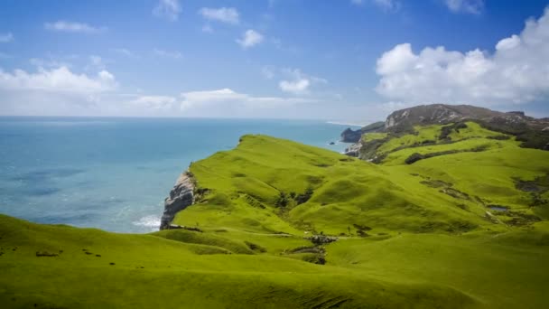 Belle Côte Nouvelle Zélande Avec Des Pâturages Verdoyants Des Collines — Video