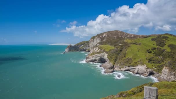 新西兰海岸线上的悬崖告别了 美丽的彩色海洋和羊在绿色起伏的山丘上吃草 时间流逝的视频 — 图库视频影像