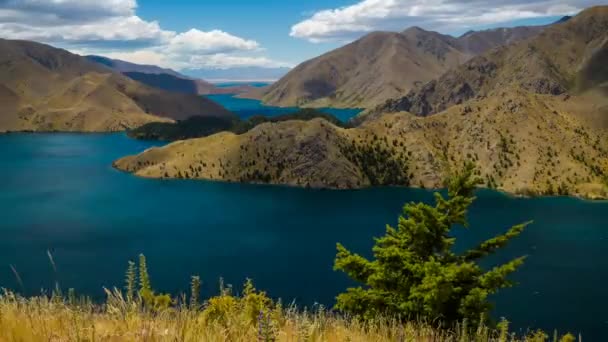 Hisnande Landskap Nya Zeeland Timelapse Video Sjön Rönninge Solig Sommardag — Stockvideo