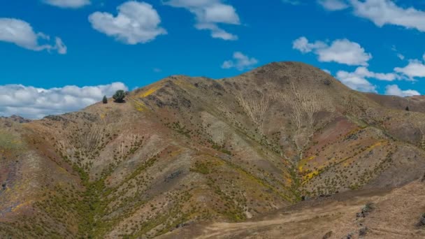 散在の雲と日当たりの良い夏の日に美しい乾燥した山のタイムラプス ビデオ ショット ニュージーランドのセントラル オタゴ地方 — ストック動画