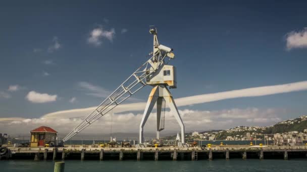 在新西兰惠灵顿海滨的老吊车 在繁忙的长廊上 阳光明媚的日子里的热门地标 时间流逝的视频 — 图库视频影像