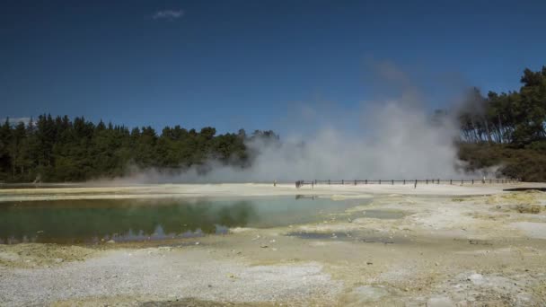 Rook Die Uit Krater Champagne Zwembad Wai Tapu Thermal Wonderland — Stockvideo