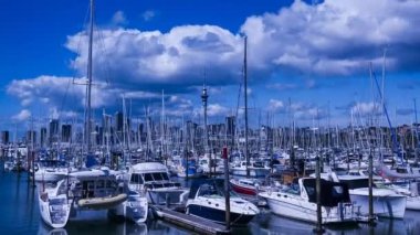 Yeni Zelanda, Auckland - 29 Mart 2018: Auckland liman Yatlar yüzlerce Timelapse video. Auckland gösteren yelken şehri olarak takma. Açıklayıcı içerik görüntüleri.