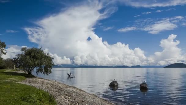 Nuvens Tempestuosas Formando Acima Lago Taupo Nova Zelândia Timelapse Vídeo — Vídeo de Stock