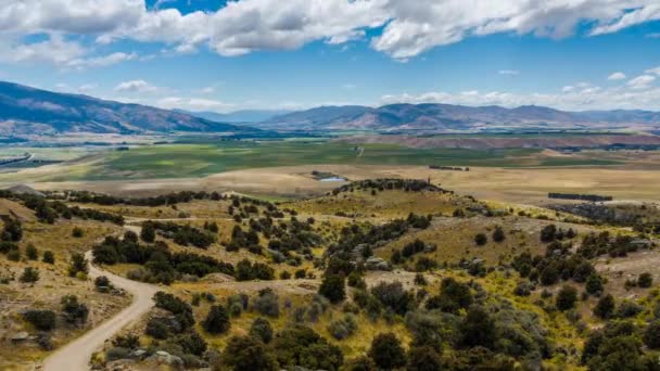 Jenis Lanskap Pedesaan Selandia Baru Wilayah Pertanian Otago Tengah South — Stok Video