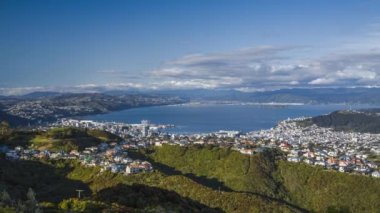 Güzel bir gün Wellington, Yeni Zelanda. Feribot ve kent üzerinde uçan defne ve dağınık bulutlar hareketli tekneler ile cityscape Timelapse video.