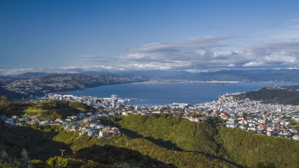 在新西兰惠灵顿美丽的一天 时光流逝的视频的城市景观与渡轮和船只在海湾移动和分散的云飞越城市 — 图库视频影像