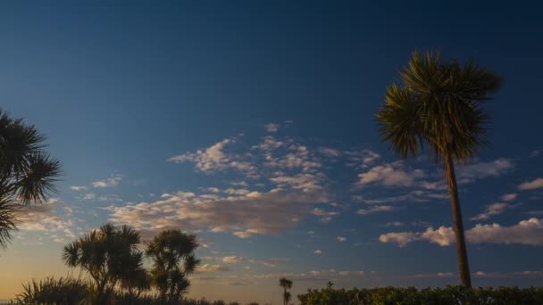 Bir Akşam Timelapse Videoda Tropikal Gökyüzü Palmiye Ağaçları Dağınık Bulutlar — Stok video