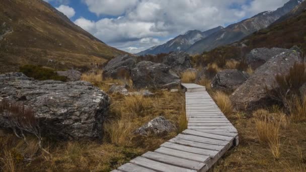 Típico Sendero Madera Nueva Zelanda Parque Nacional Arthurs Pass Vídeo — Vídeos de Stock