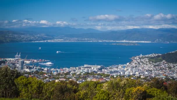 Panoramatický Pohled Wellingtonu Nový Zéland Timelapse Video Slunečný Den — Stock video