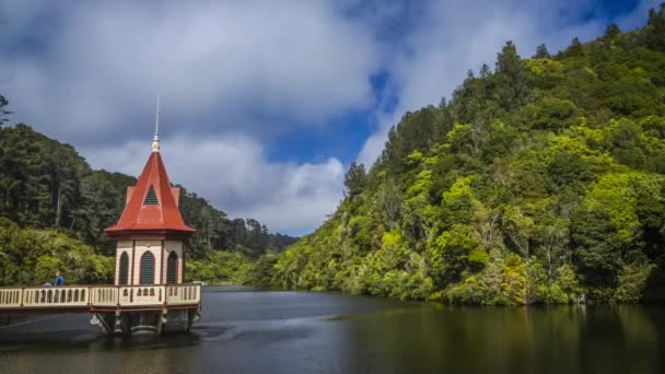 ジーランディア野生生物保護区でウェリントン ニュージーランドの景色 美しい湖のタイムラプス ビデオ 人気の観光地 — ストック動画