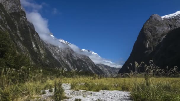 有名なミルフォード トラック グレート ウォークでフィヨルドランド ニュージーランドの美しい谷 山の高くそびえる山に囲まれて 散歩は世界で最も美しいハイキングです タイムラプス ビデオ — ストック動画