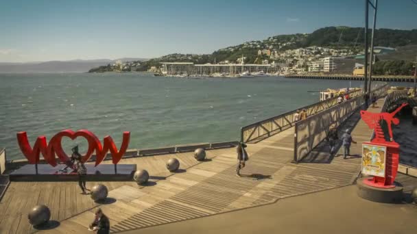 Нью Зеланд Веллингтон Октября 2017 Года Солнечный День Набережной Веллингтона — стоковое видео