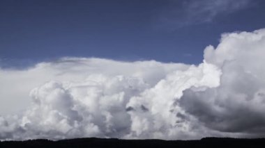 Ağır yağmur bulutları oluşturan ormanlar. Timelapse video