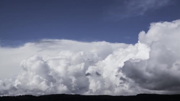 Fuertes Nubes Lluvia Forman Sobre Los Bosques Vídeo Timelapse — Vídeos de Stock