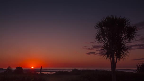 时光流逝的红色日落由海洋与棕榈树在前景 红色的天空变成了完全的黑暗 — 图库视频影像