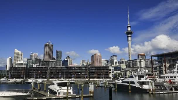 Nieuw Zeeland Auckland Maart 2018 Timelapse Video Van Auckland Centrum — Stockvideo