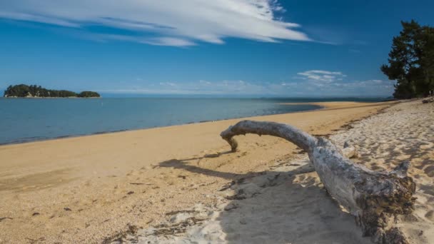 Timelapse Van Prachtige Zonnige Strand Abel Tasman Nationaal Park Nieuw — Stockvideo