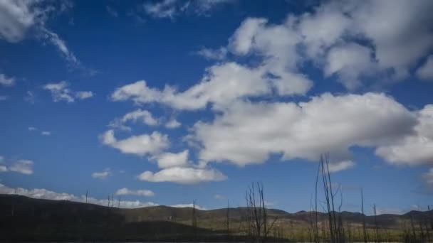 Timelapse chmur nad jeziorem — Wideo stockowe