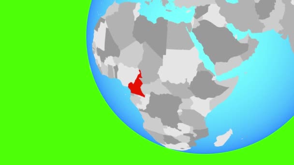 Zoom dos Camarões — Vídeo de Stock