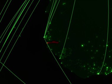 Gambiya ağları ile yeşil harita üzerinde. Uluslararası seyahat, iletişim ve teknoloji kavramı. 3d illüstrasyon. Nasa tarafından döşenmiş bu görüntünün elemanları.