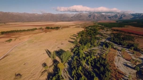 Загородная антенна Новой Зеландии — стоковое видео