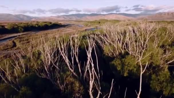 Naturaleza de la antena de Nueva Zelanda — Vídeos de Stock