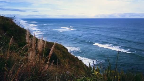 Yeni Zelanda kıyılarında — Stok video